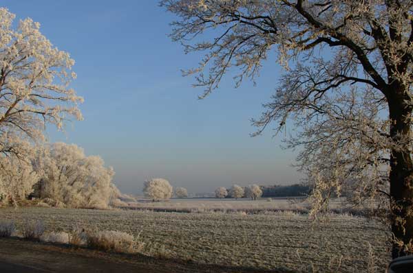 Drosselrohrs&auml;nger